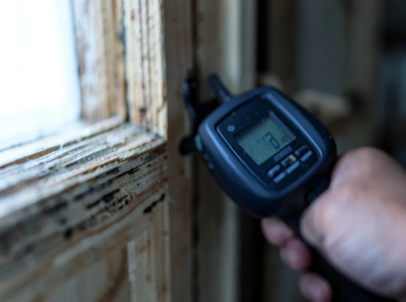 Moisture Inspection And Documentation in Winter Harbor, ME